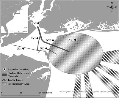 Hardly seen, often heard: acoustic presence of harbour porpoises (Phocoena phocoena) in one of the most urbanised estuaries in the world